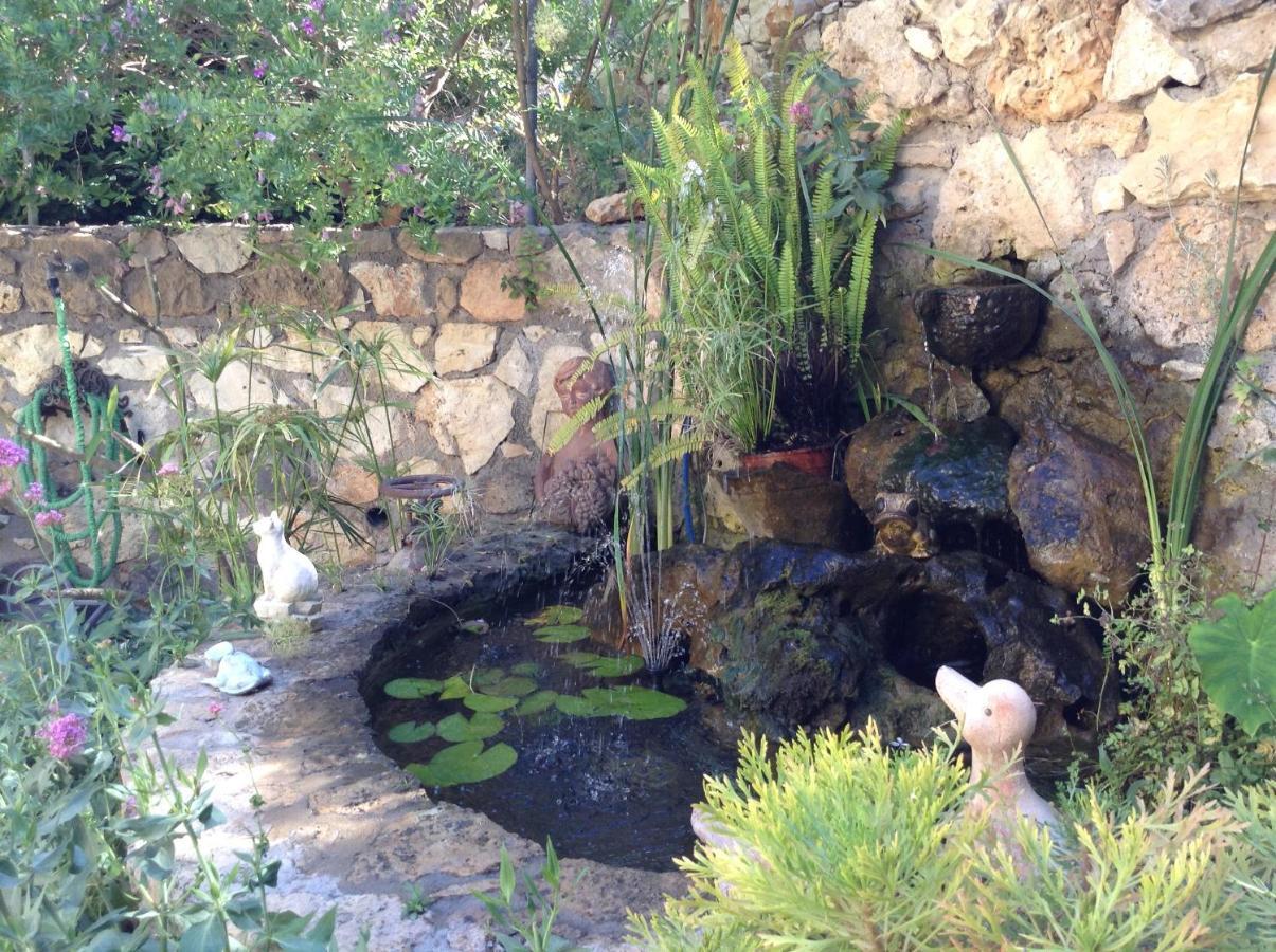 Olive House Traditional Villa With Pool Sitia  Exterior foto