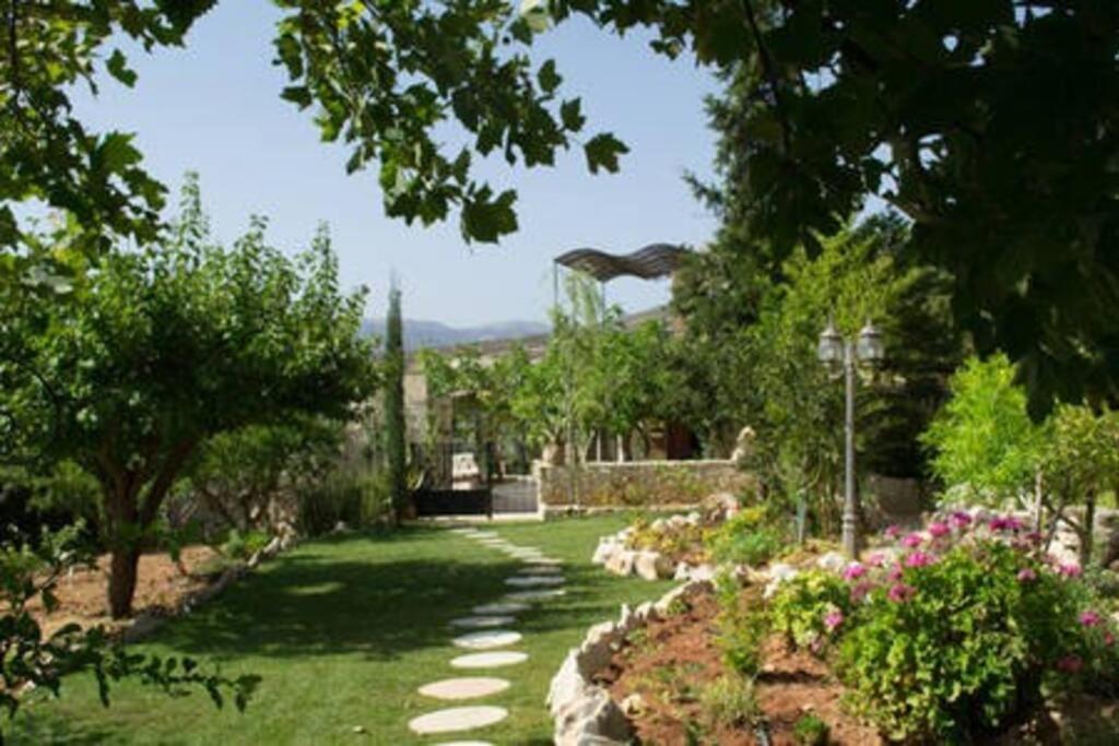 Olive House Traditional Villa With Pool Sitia  Exterior foto